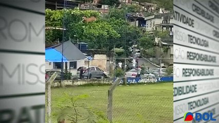 b'vaddeo morte tiro'