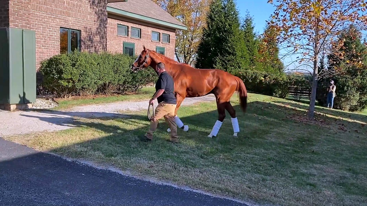Breeders' Cup Contenders Arrive at WinStar Farm