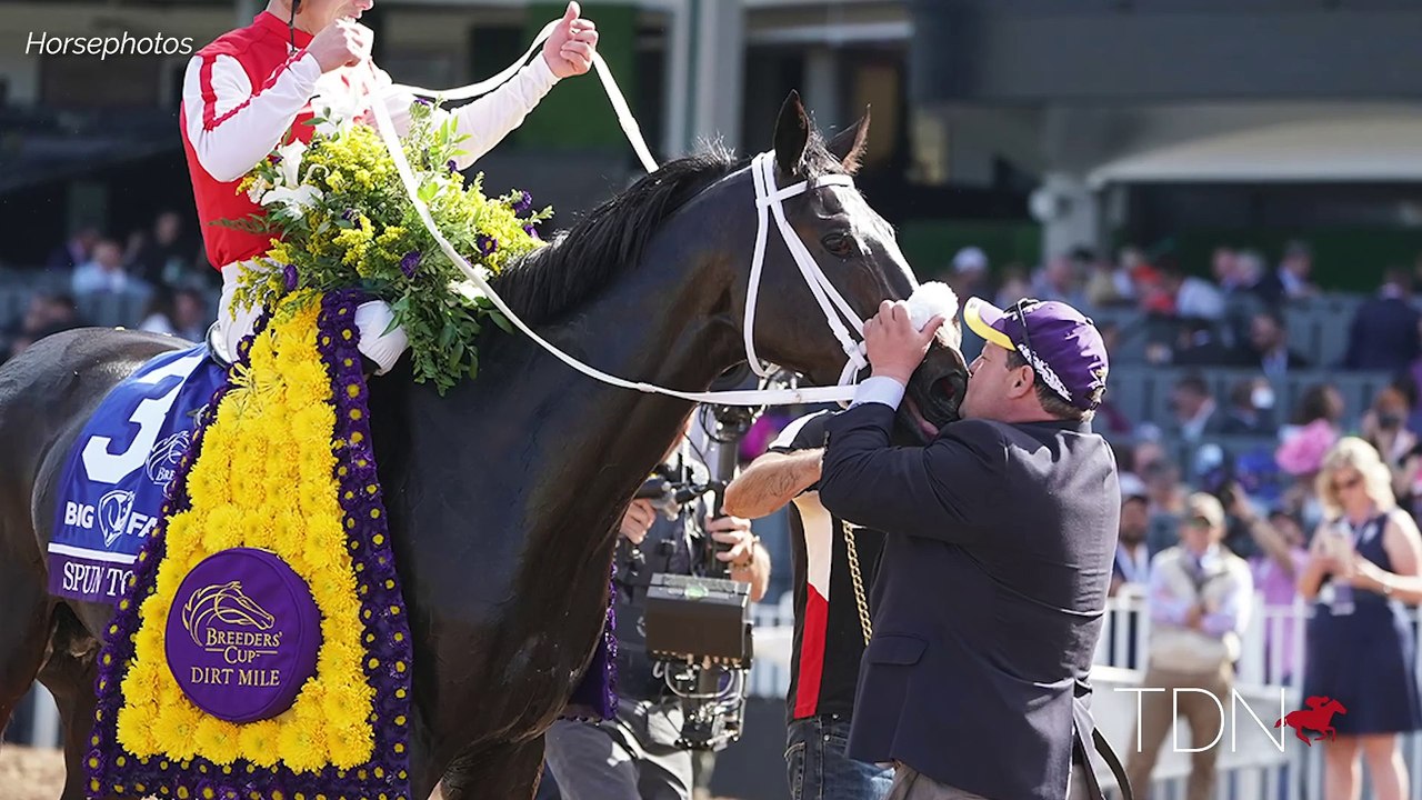 Breeders' Cup Champion Spun to Run at Gainesway Farm