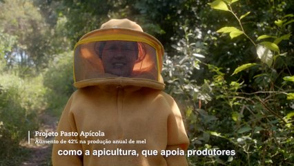 b'vale-floresta-1080-60s-legenda.mp4'