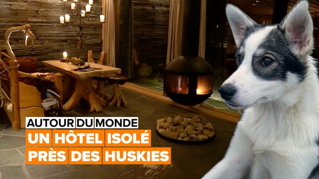 Autour du monde : un hôtel dans une ferme de chiens huskies en Norvège