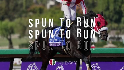Gainesway - Spun to Run. November, 2020.