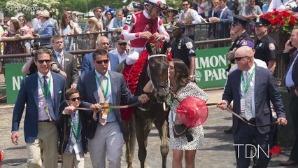 Midnight Bisou Arrives at Hill 'n' Dale, Will Visit Curlin in 2021