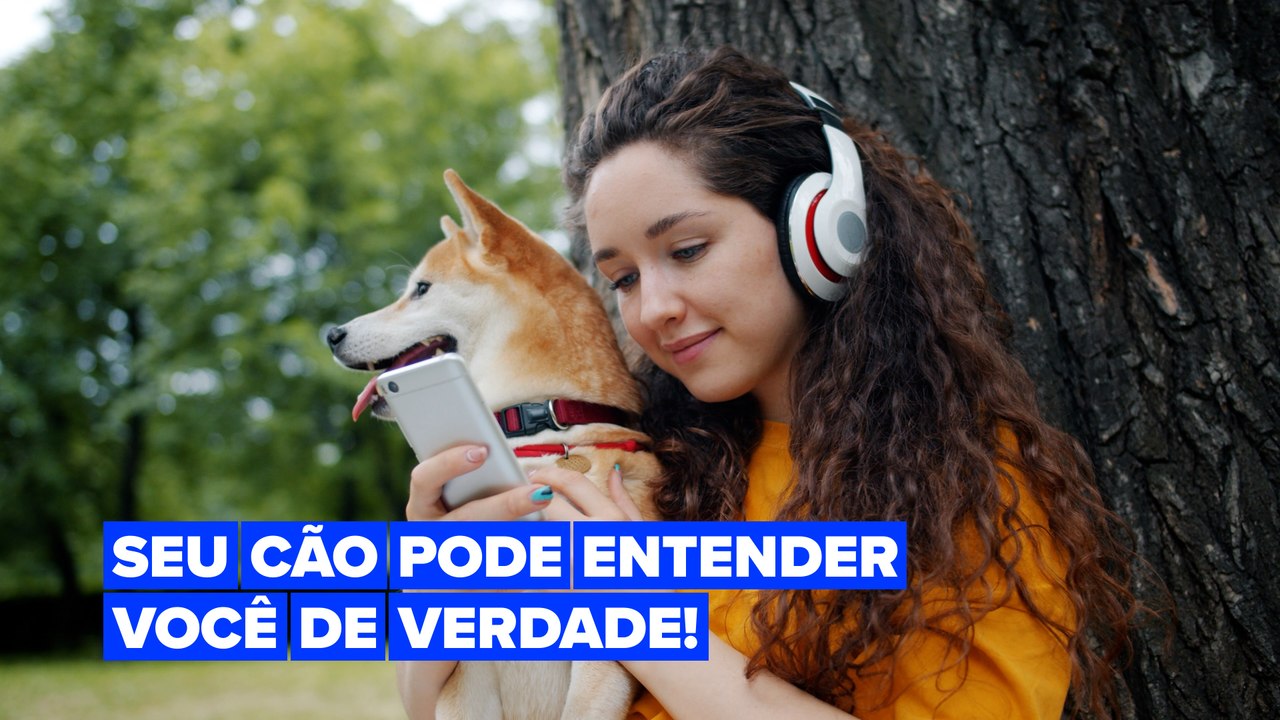 Os cães são capazes de entender idiomas estrangeiros