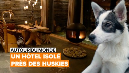 Autour du monde : un hôtel dans une ferme de chiens huskies en Norvège