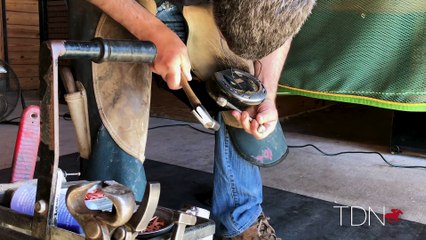 Farrier Tales: Changing the Shoe