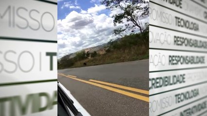 b'Mulher ataca motoristas em rodovia.mp4'