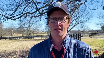 Complexity Hype Carries on to Stud Career