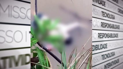 b'Corpo encontrado no rio Itacaiunas'