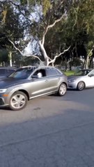 Art Ka Magic ✨🤯 Magic Tricks 🤯🔥