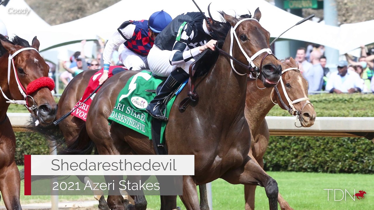 Christina Blacker on the TDN Writers' Room Podcast