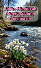 JANGAN PERNAH MENYERAH || USTADZAH HALIMAH ALAYDRUS #videoislam #dakwahviral #ustadzahhalimahalaydrus