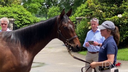 Ton Lacy and His Vision for the Keeneland Sales