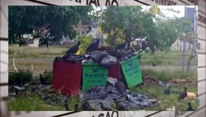 b'Moradores denunciam "lixo" em campus de universidade abandonada'