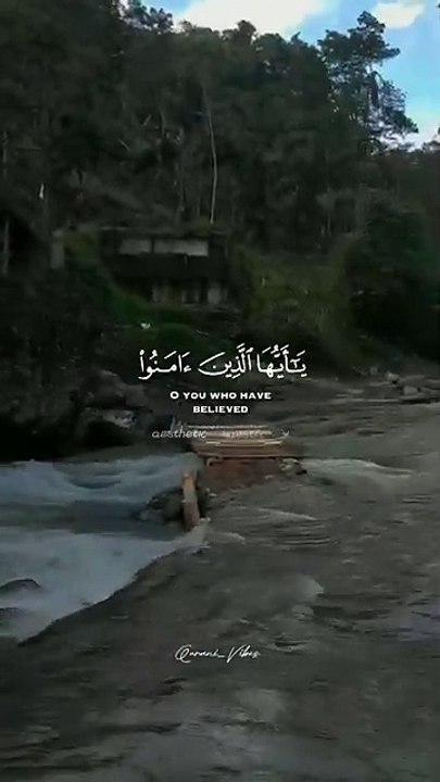 Tilawat Quran #quranreaction#