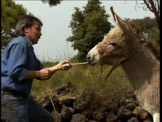 060 / TELENOVELAS INTERNACIONALES / ABRÁZAME MUY FUERTE / 2000 /