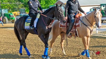 Thursday at the Preakness