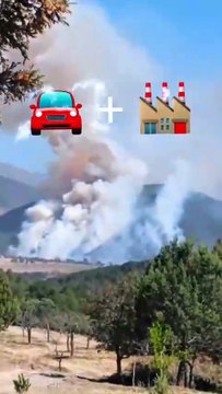 Saltillo, bajo una nube de contaminación: incendios agravan calidad del aire
