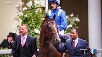 Tasleet Yearlings Making Impressions