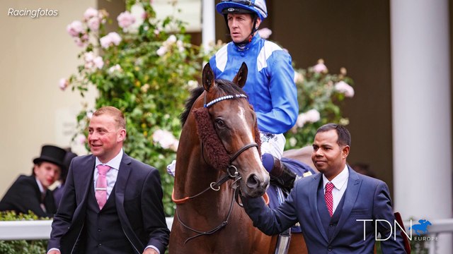 Tasleet Yearlings Making Impressions