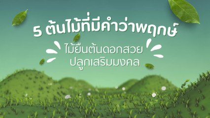 5 ต้นไม้คำว่าพฤกษ์ เสริมโชคลาภและความงามในสวน🏡