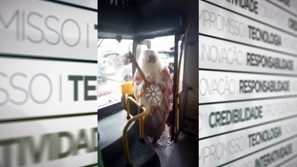 b'So Pedro e Moisa9s so convocados para tratar das chuvas em Bela9m'