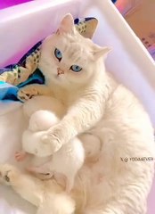 ¡Dios mío, tiene los ojos más bonitos!