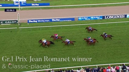 Vente d'Elevage - GRAND GLORY