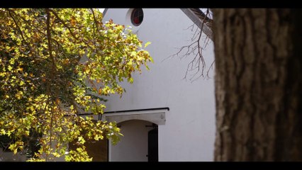 Gainesway - McKinzie.