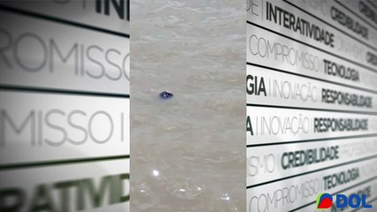 b'Corpo aparece boiando no Ver-o-Peso'