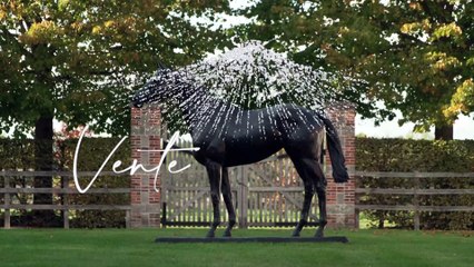 Wertheimer & Frere TVG