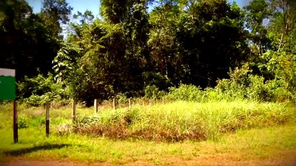 b'Vaddeo Agropalma 2'