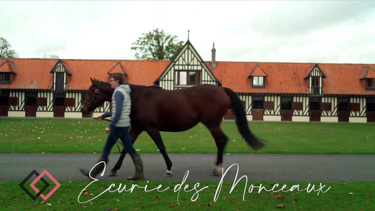 Ecurie des Monceaux at Arqana Vente d'Elevage