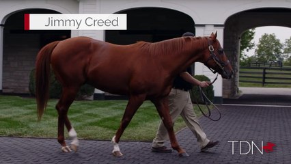 TDN Stallions: Jimmy Creed