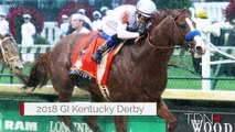 Justify Yearlings Primed for Saratoga Spotlight