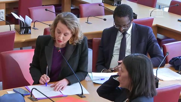Commission des affaires étrangères : Mme Clara Chappaz, ministre déléguée, chargée de l’intelligence artificielle et du numérique - Mardi 18 mars 2025