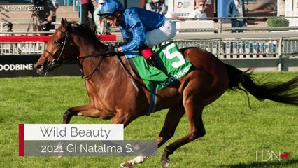 Charlie Appleby Joins the TDN Writers' Room