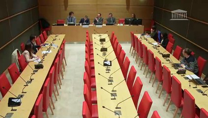 Organisation des élections en France : M. Marc-Antoine Brillant, chef du service de vigilance et de protection contre les ingérences numériques étrangères (Viginum) - Mardi 18 mars 2025