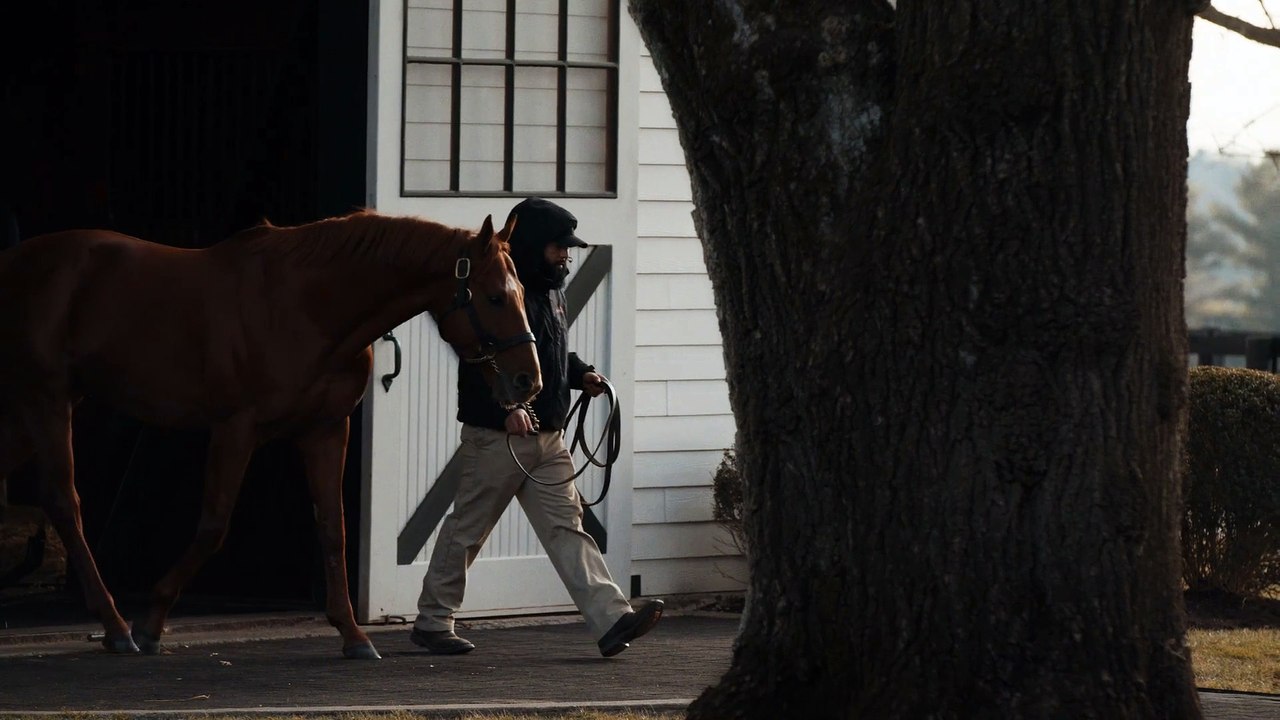 Vino Rosso