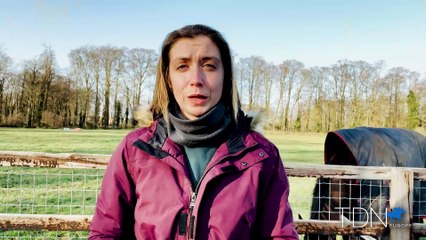 Lucky Vega and Nando Parrado Join Irish National Stud