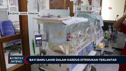 Bayi Baru Lahir dalam Kardus Ditemukan Terlantar