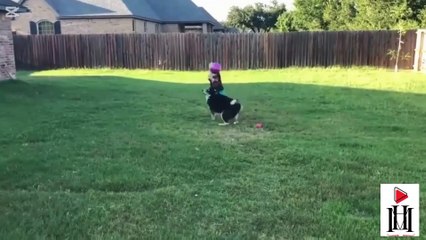 LITTLE CHILDREN FUNNY COMEDY VIDEOS WITH ANIMALS FUNNY VIDEOS WITH KIDS