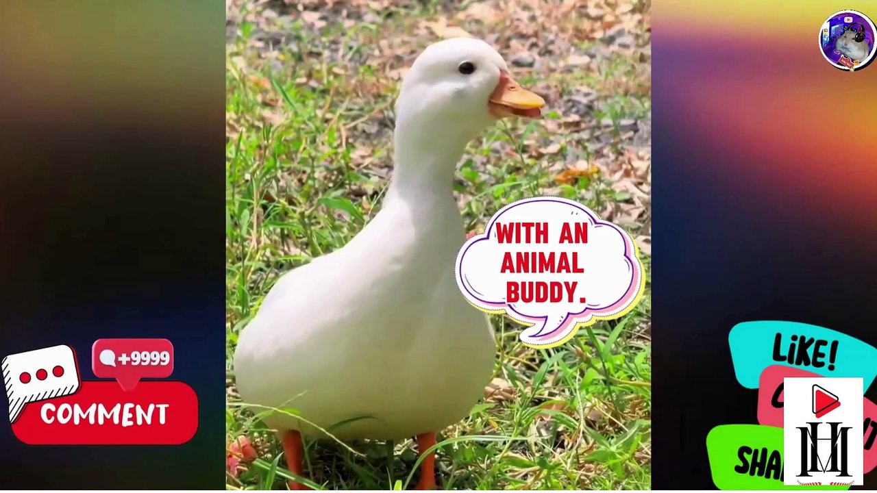 Expert Animal Lovers  - Best Funny Animals Videos 2025🤣