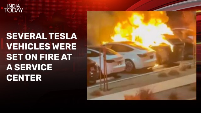 Multiple Tesla vehicles set on fire in US amid anti-Elon Musk protests