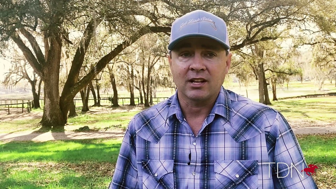 Thoughts from Ocala: Stars in the Making