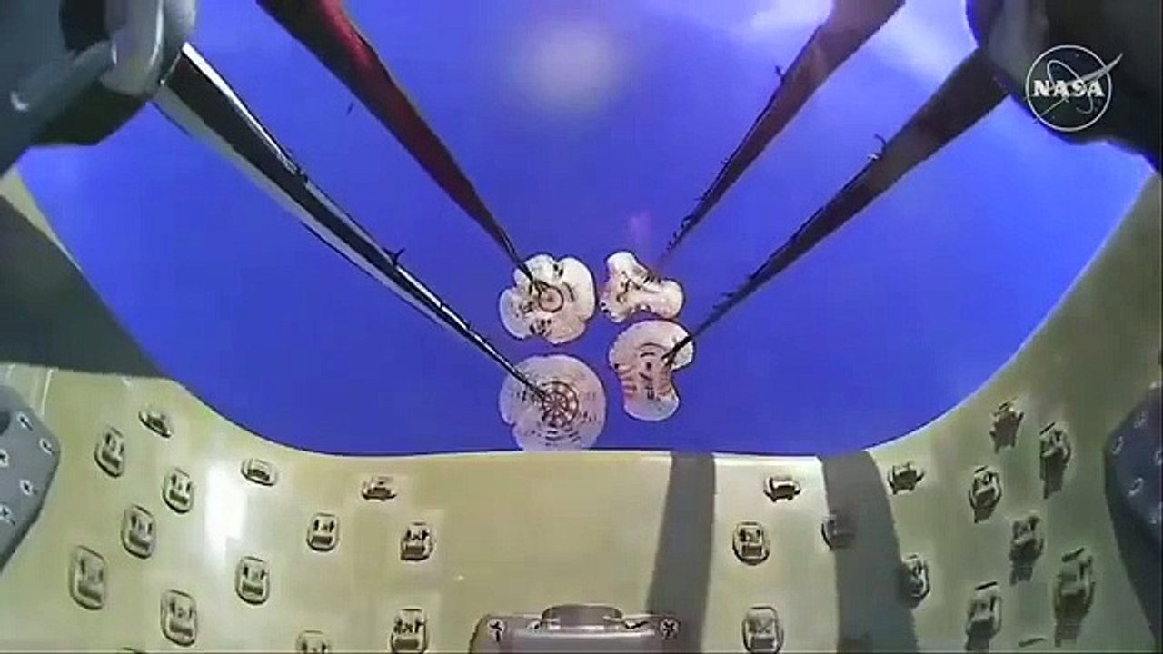 SPLASHDOWN: NASA astronauts Butch Wilmore and Suni Williams return to Earth