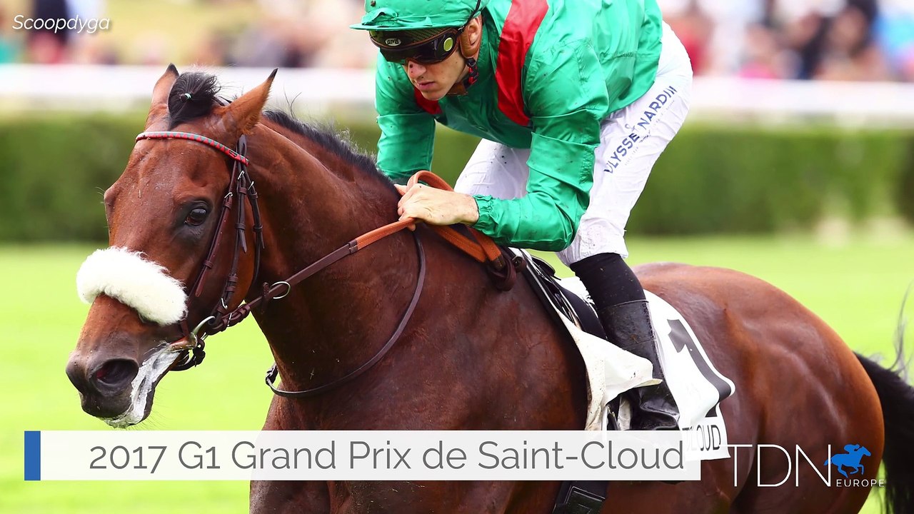 A Flying Start At Stud For Zarak