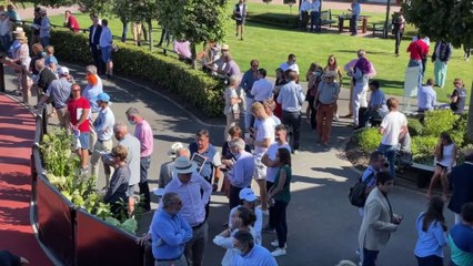 ARQANA Seasons Greetings 2021