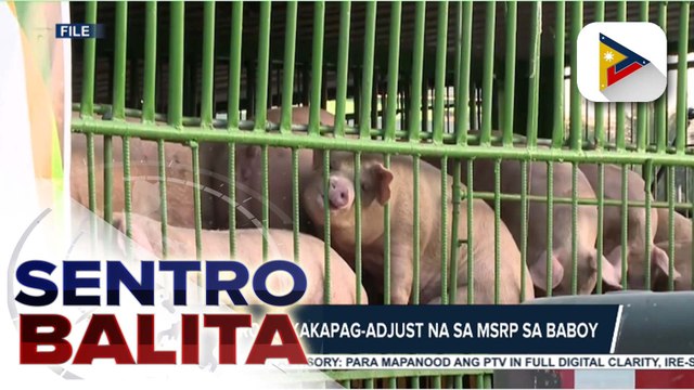 Bilang ng mga barangay na apektado ng ASF, bumaba ayon sa D.A.-BAI; D.A. at pork industry players, magpupulong ulit kaugnay sa MSRP sa karne ng baboy