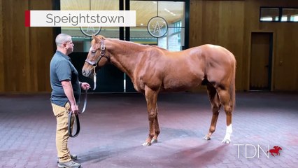 Explore Speightstown in Stunning 360° Video 🌴